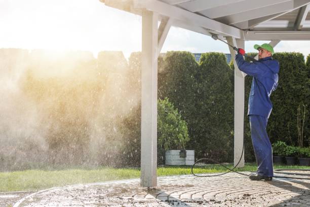 Best Dumpster Area Cleaning  in La Selva Beach, CA
